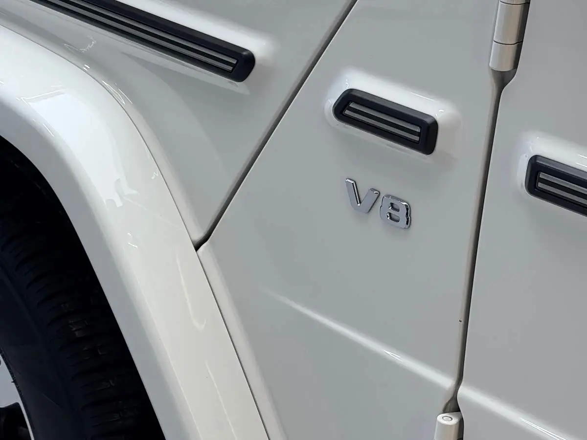 Mercedes-Benz G-Class 2020 — Фото 8/20