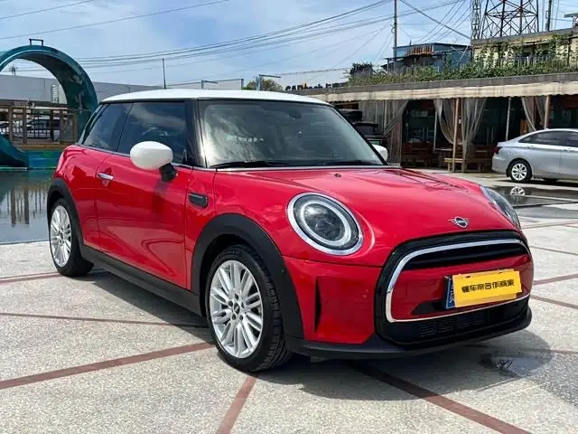 MINI MINI 2022 — ფოტო 3/16
