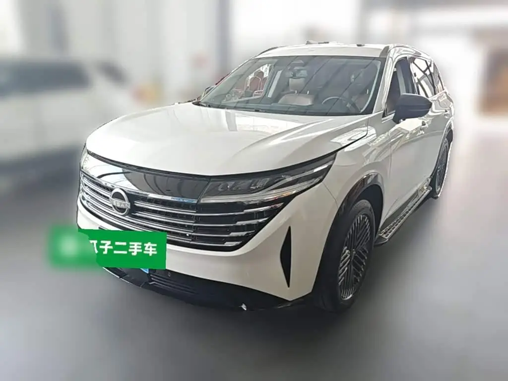 Nissan Terra, 2024