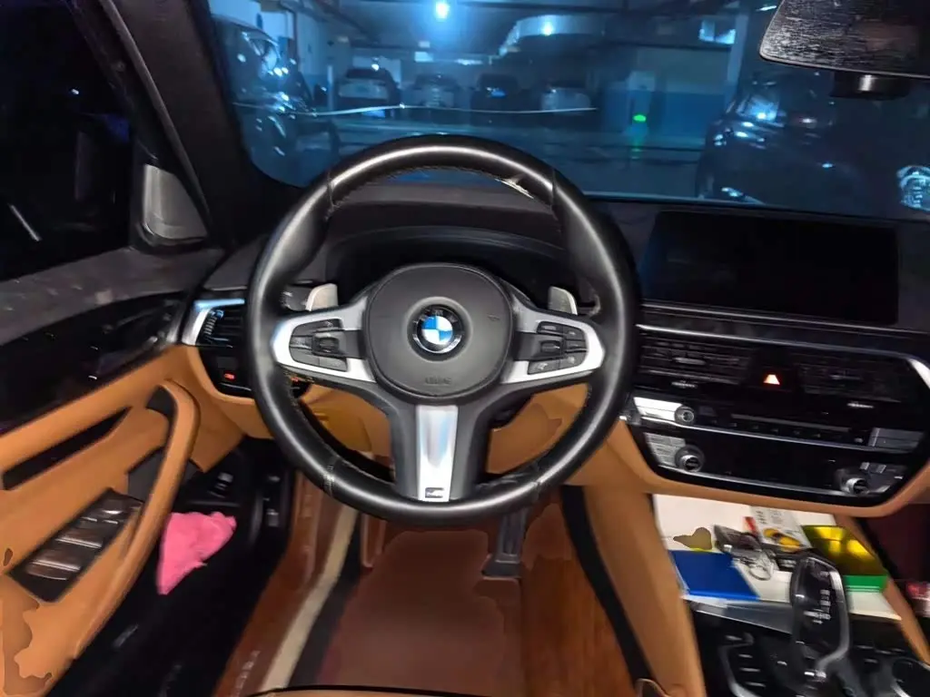 BMW 5 Series 2019 — Photo 6/20