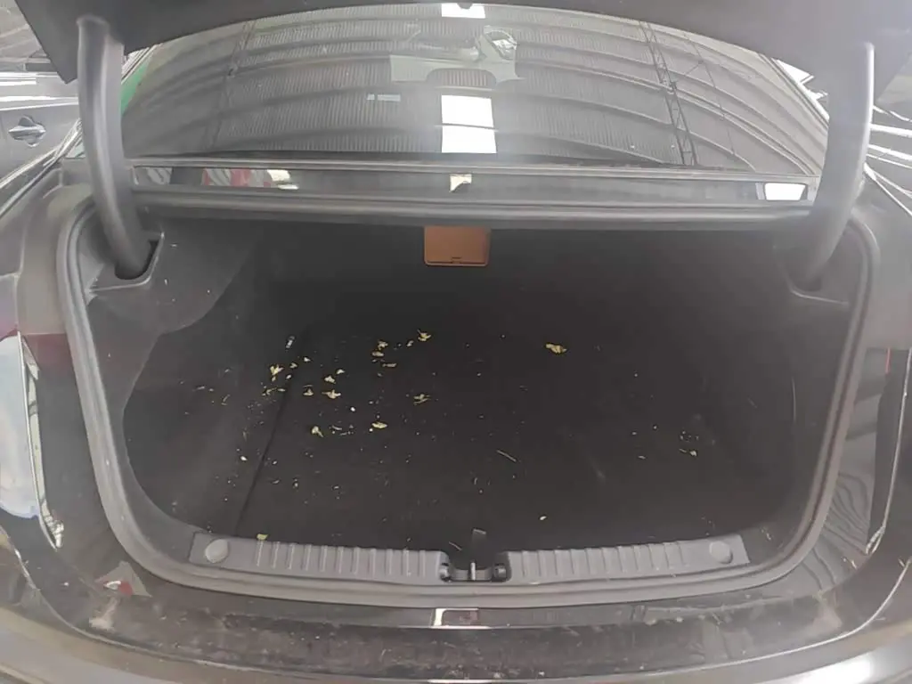 BYD Han L 2025 — Photo 19/20