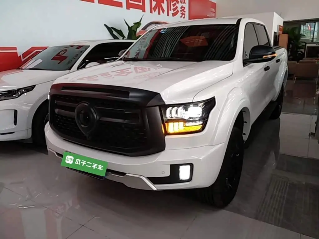 Great Wall Shanhai Cannon 2025 — ფოტო 3/20