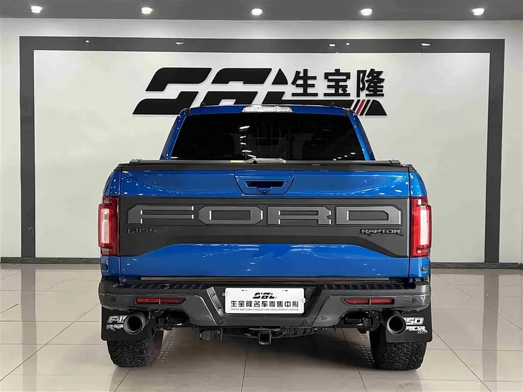 Ford F-150 Raptor 2019 — ფოტო 5/17