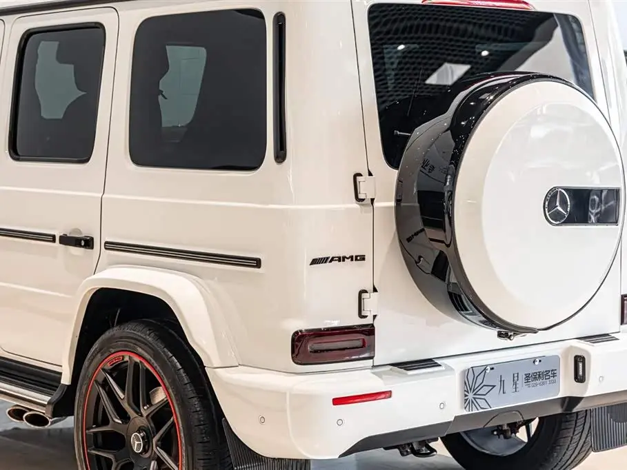 Mercedes-Benz G-Class 2020 — Фото 19/20