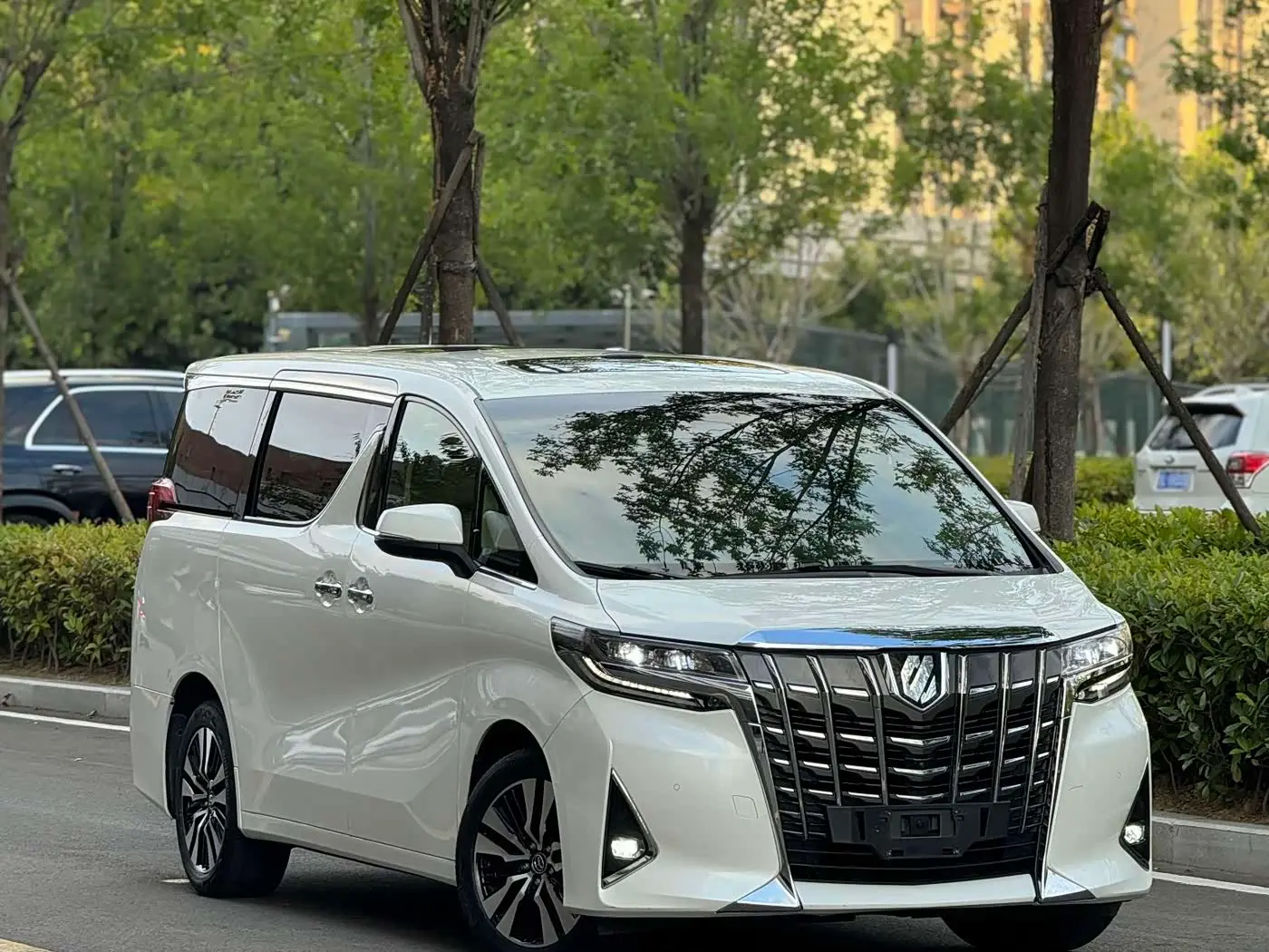 Toyota Alphard 2019 — Фото 2/20