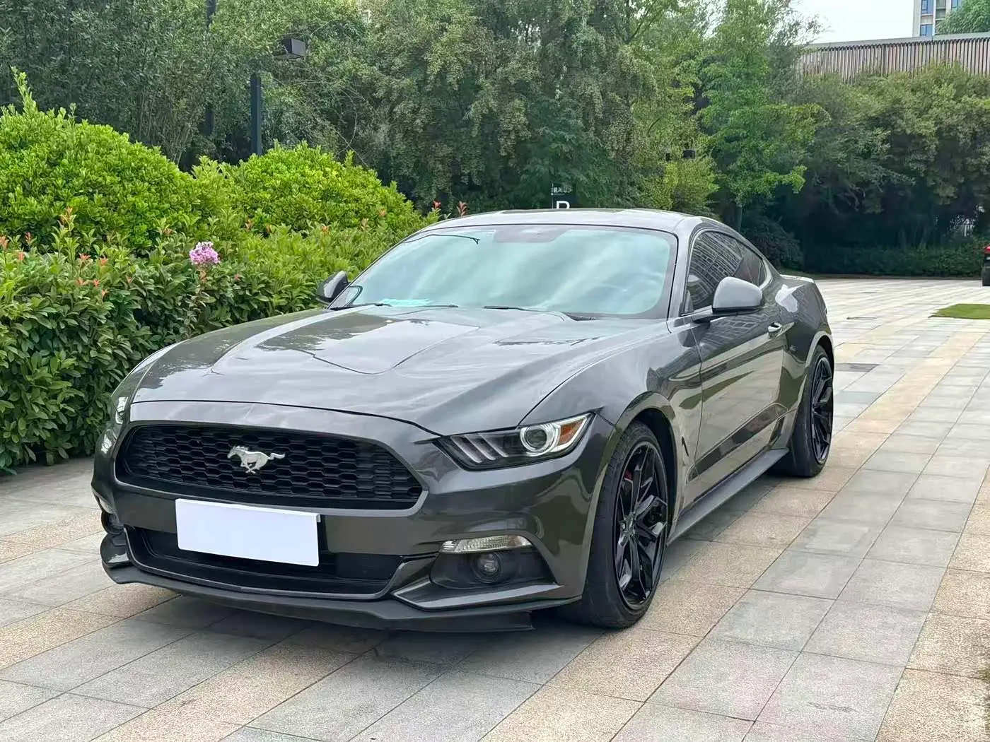 Ford Mustang 2018 — Photo 1/11