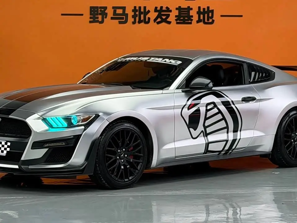 Ford Mustang 2016 — Photo 1/8