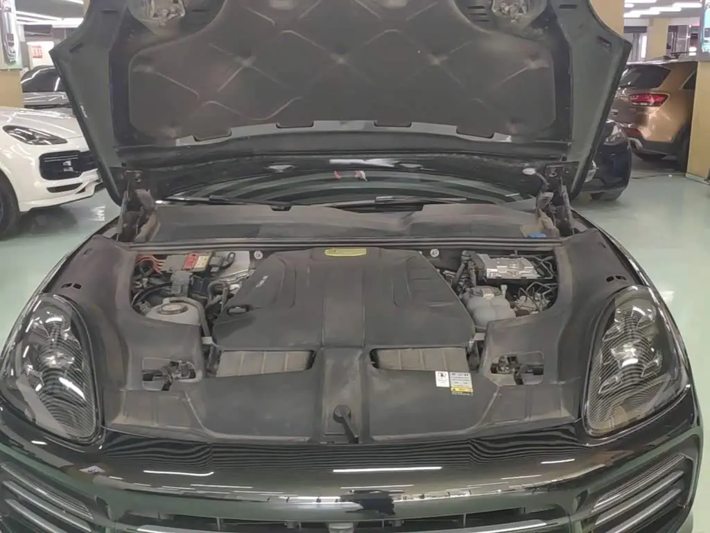 Porsche Cayenne New Energy 2022 — ფოტო 20/20
