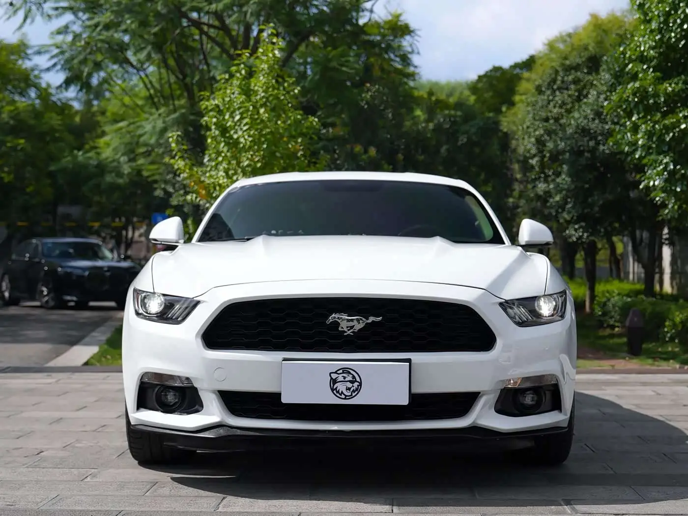 Ford Mustang 2017 — Şəkil 2/14