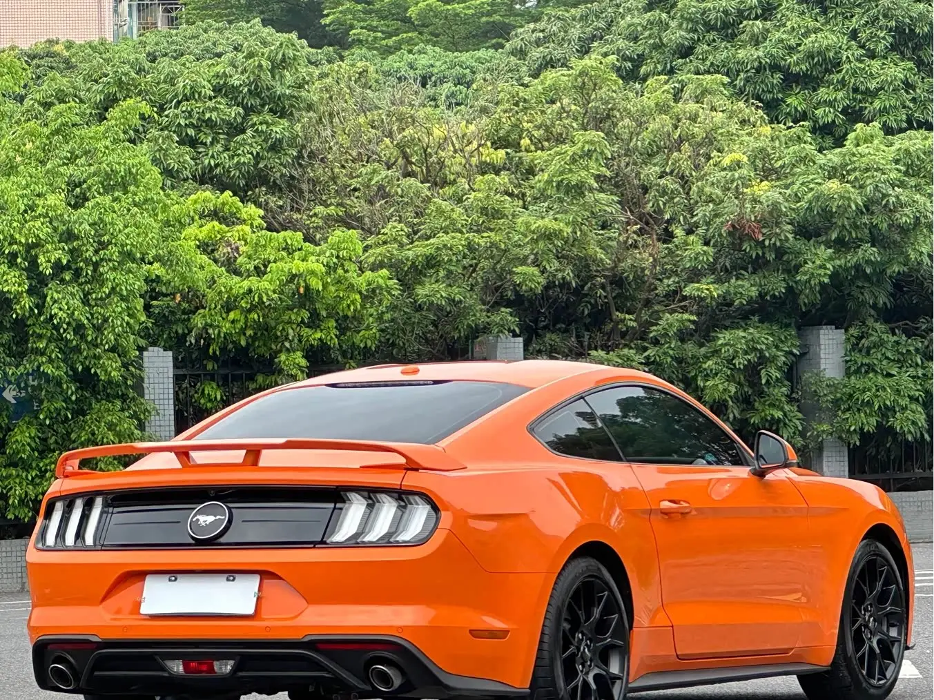 Ford Mustang 2021 — Photo 5/18
