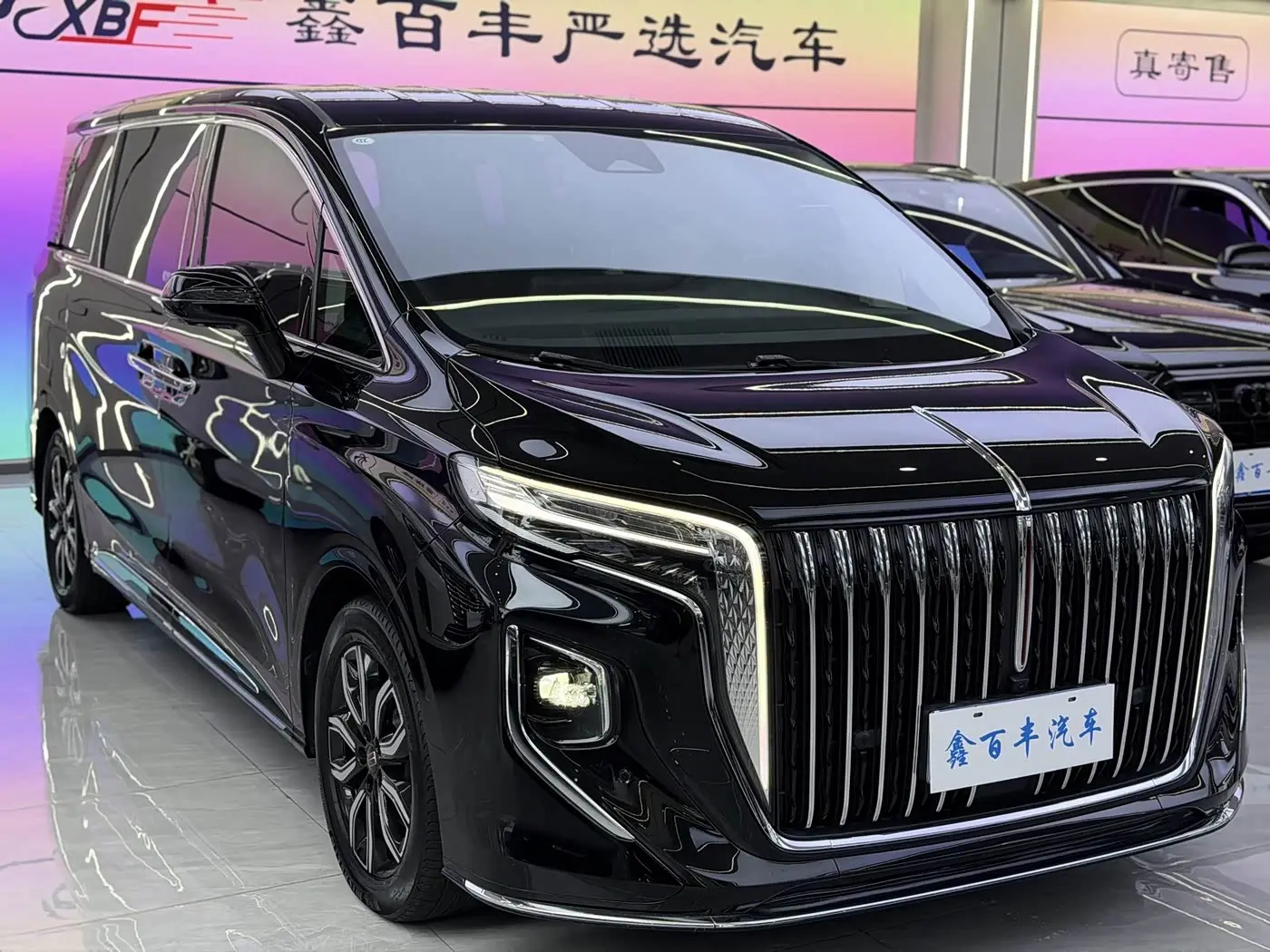 Hongqi HQ9 2023 — Photo 3/12