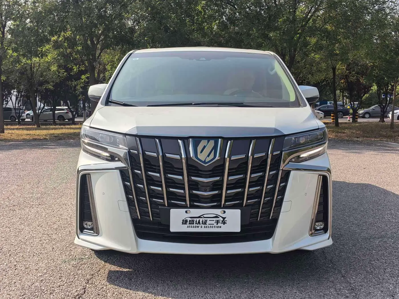 Toyota Alphard 2023 — Photo 2/18