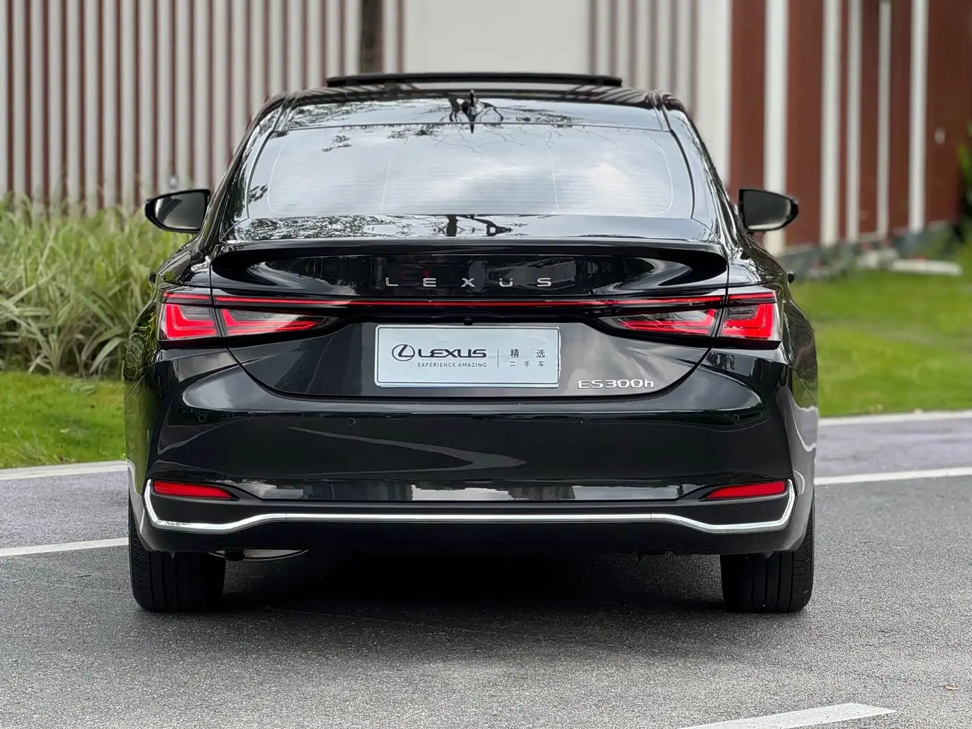 Lexus ES 2024 — Фото 14/16