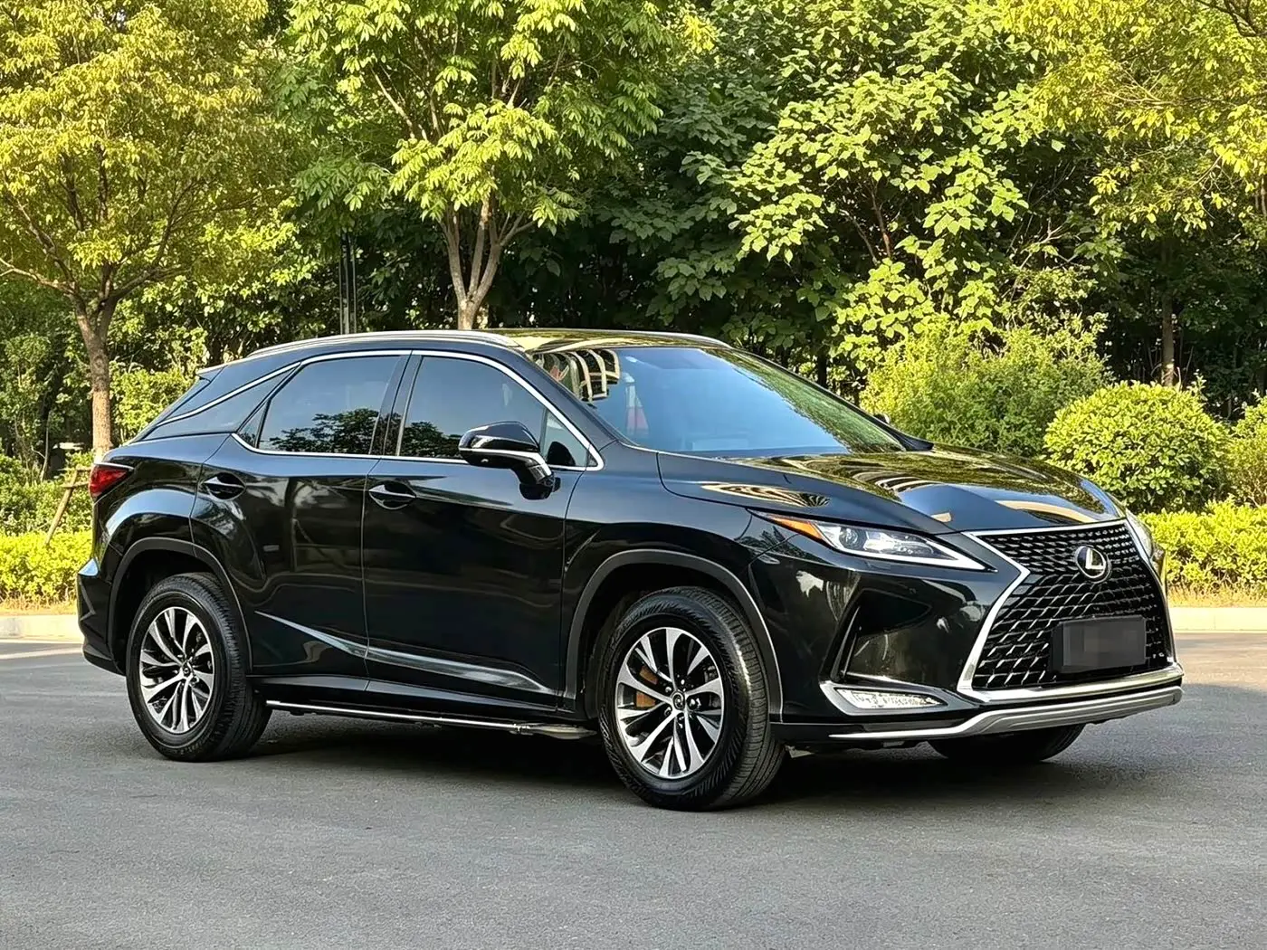Lexus RX 2020 — Photo 1/9