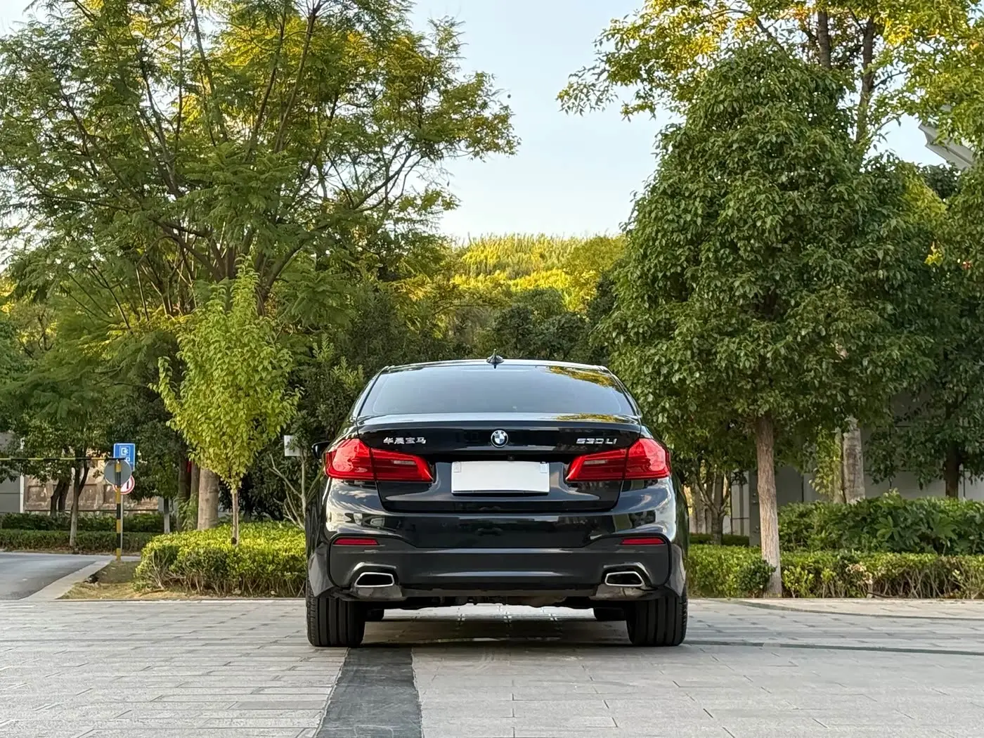 BMW 5 Series 2019 — Photo 8/20