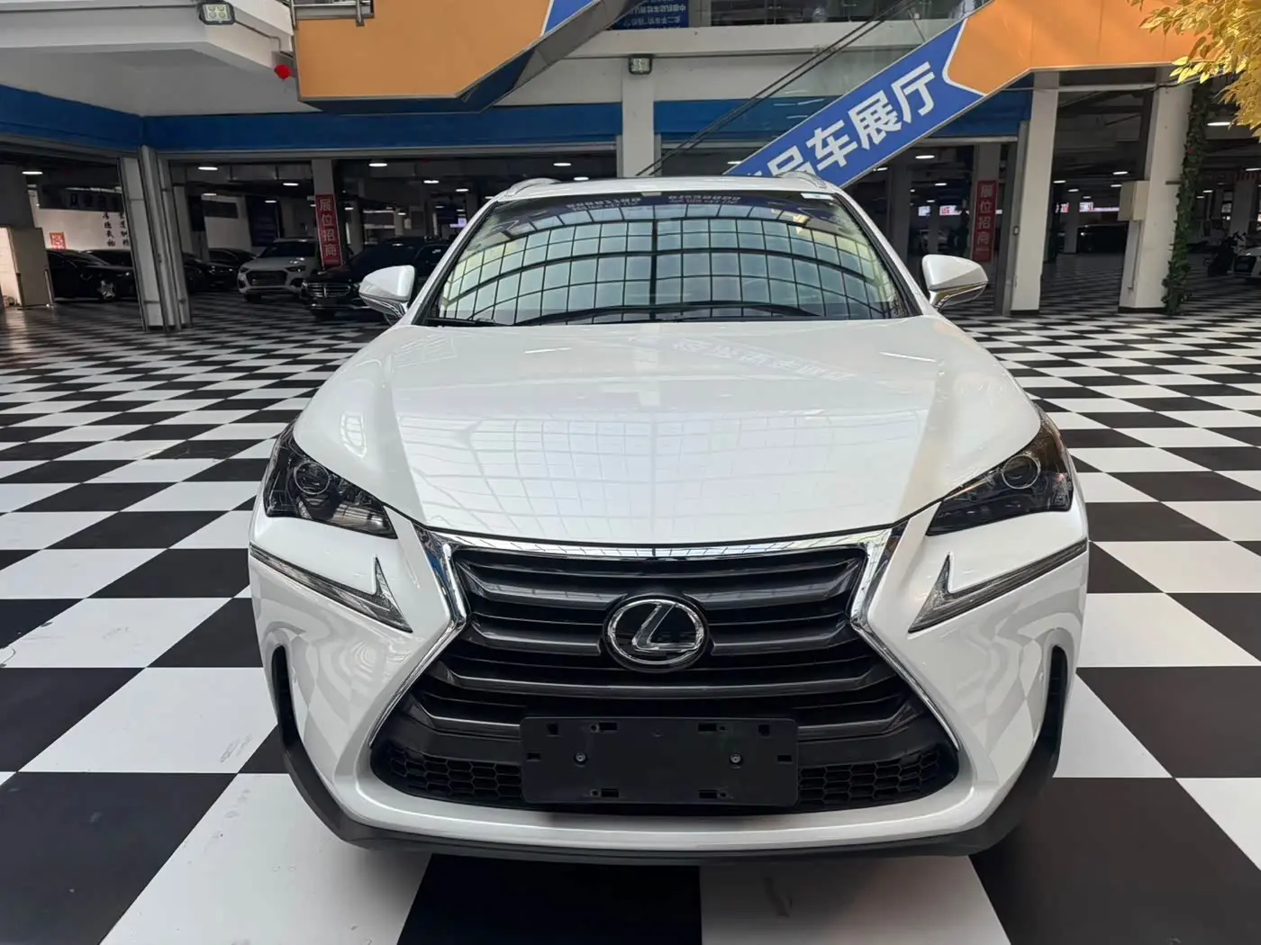 Lexus NX 2017 — Photo 2/20