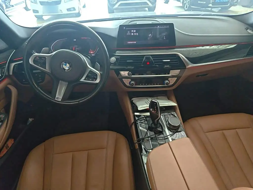 BMW 5 Series 2020 — Photo 10/20