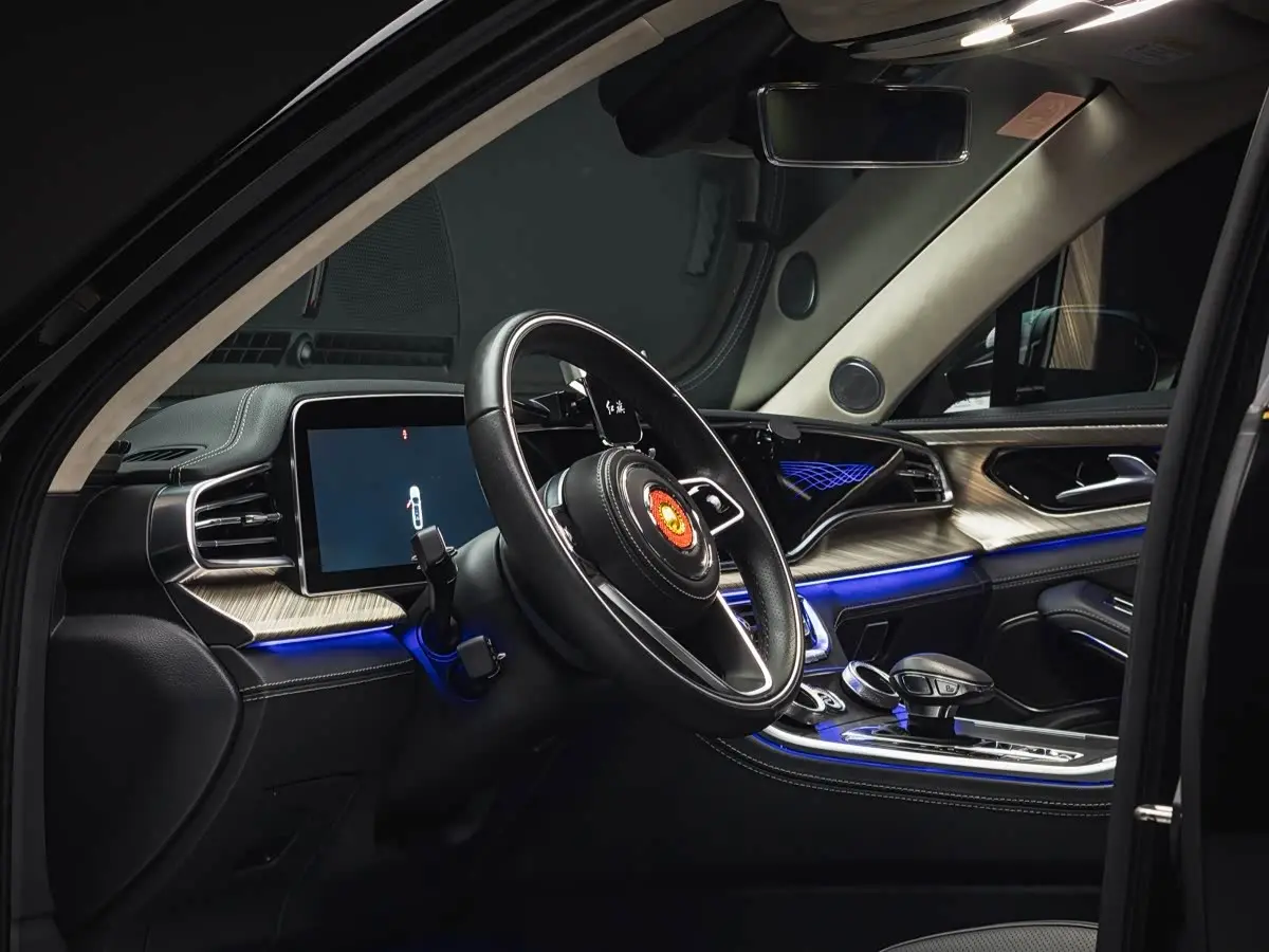 Hongqi H9 2022 — Photo 11/20