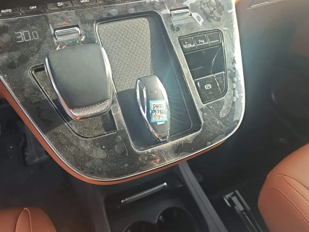 Hongqi HQ9 PHEV 2024 — Photo 14/20