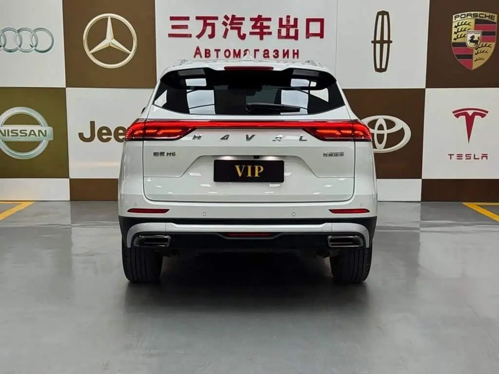 Haval H6 2023 — Фото 5/20