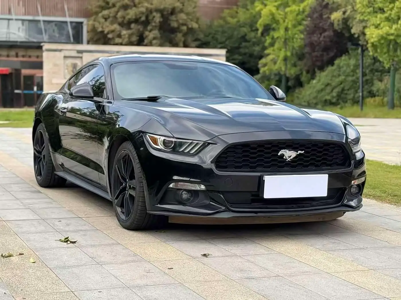 Ford Mustang, 2019