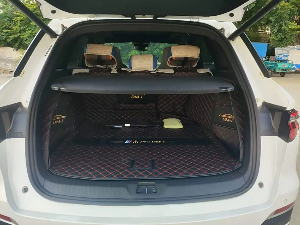 BYD Song Pro New Energy 2023 — Фото 19/20
