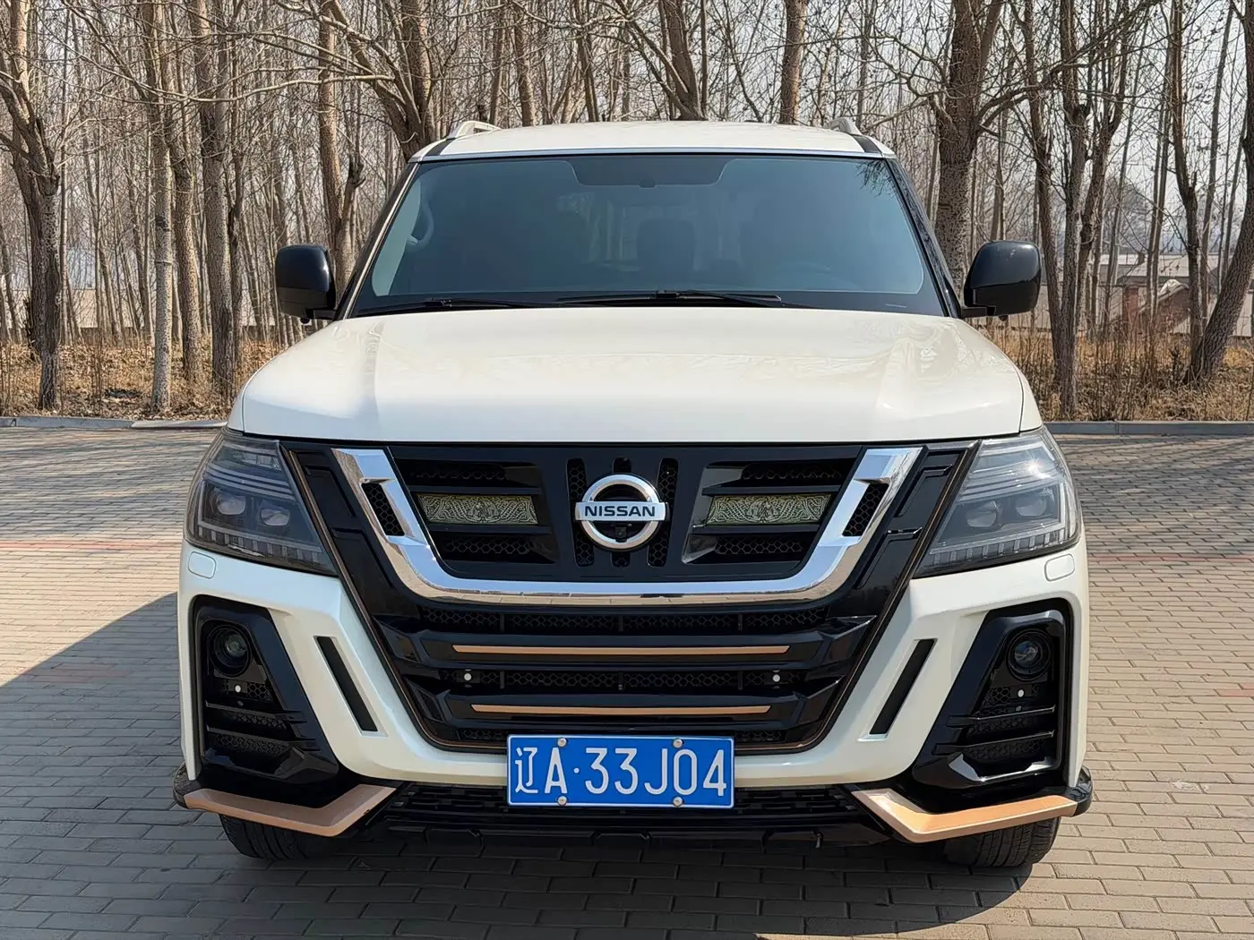 Nissan Patrol 2019 — Фото 2/17