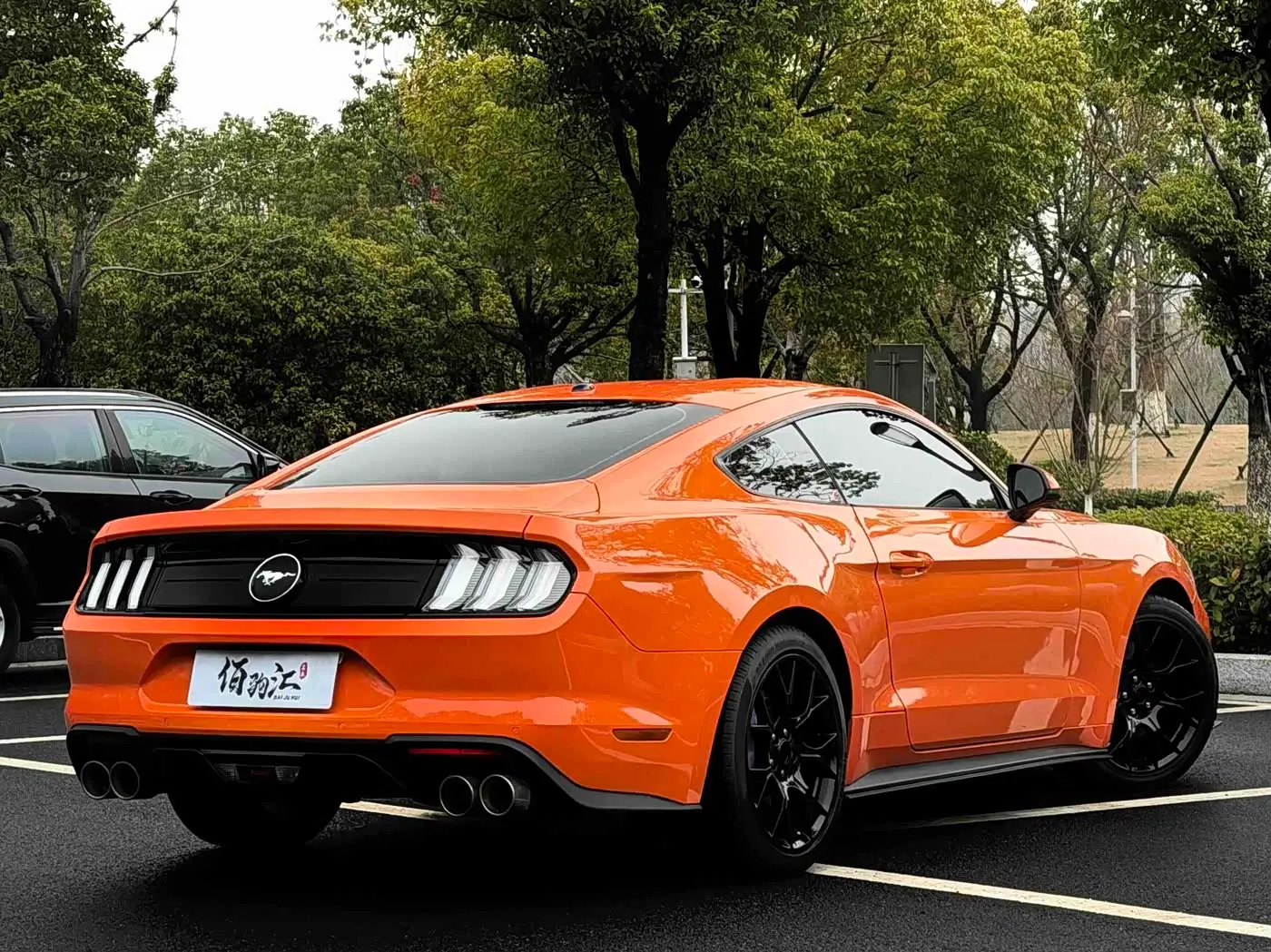 Ford Mustang 2020 — Фото 8/14