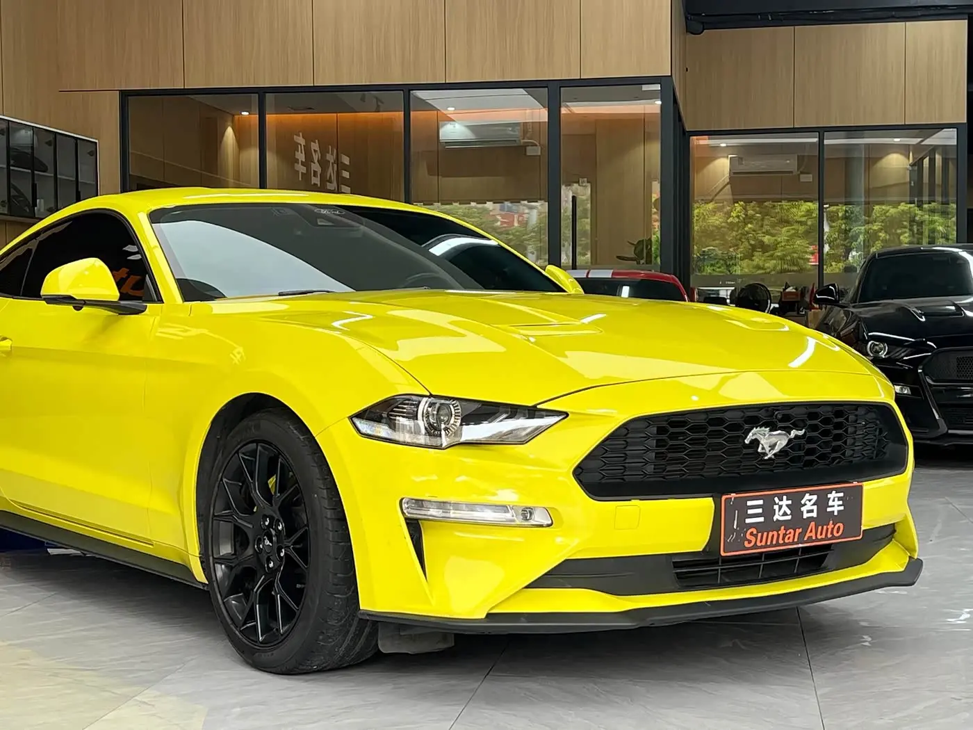 Ford Mustang 2023 — Фото 10/20