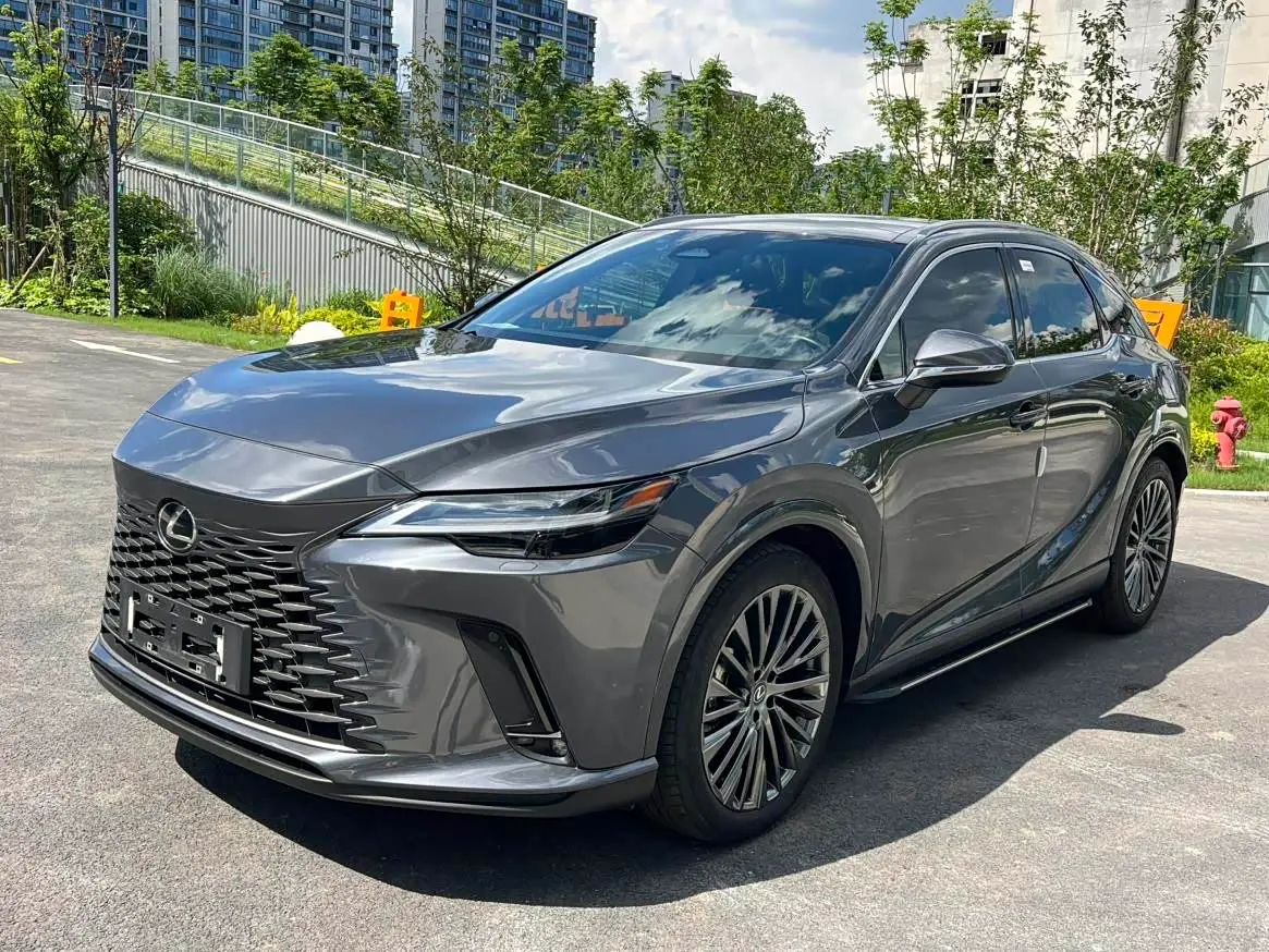 Lexus RX New Energy 2023 — Фото 1/19