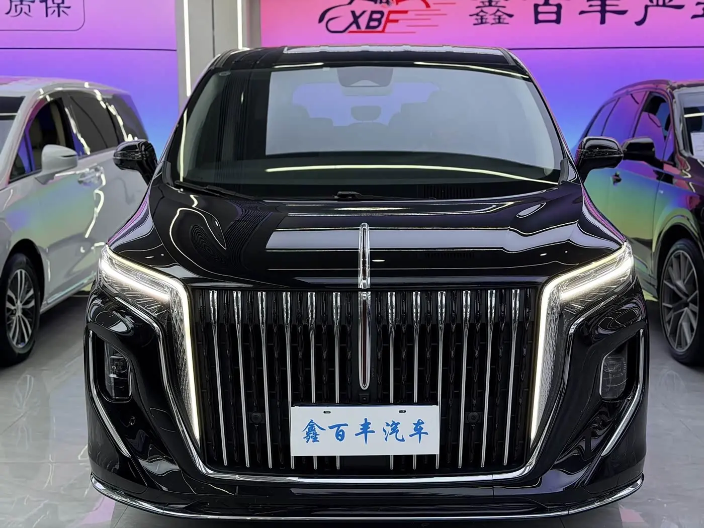 Hongqi HQ9 2023 — Photo 2/12