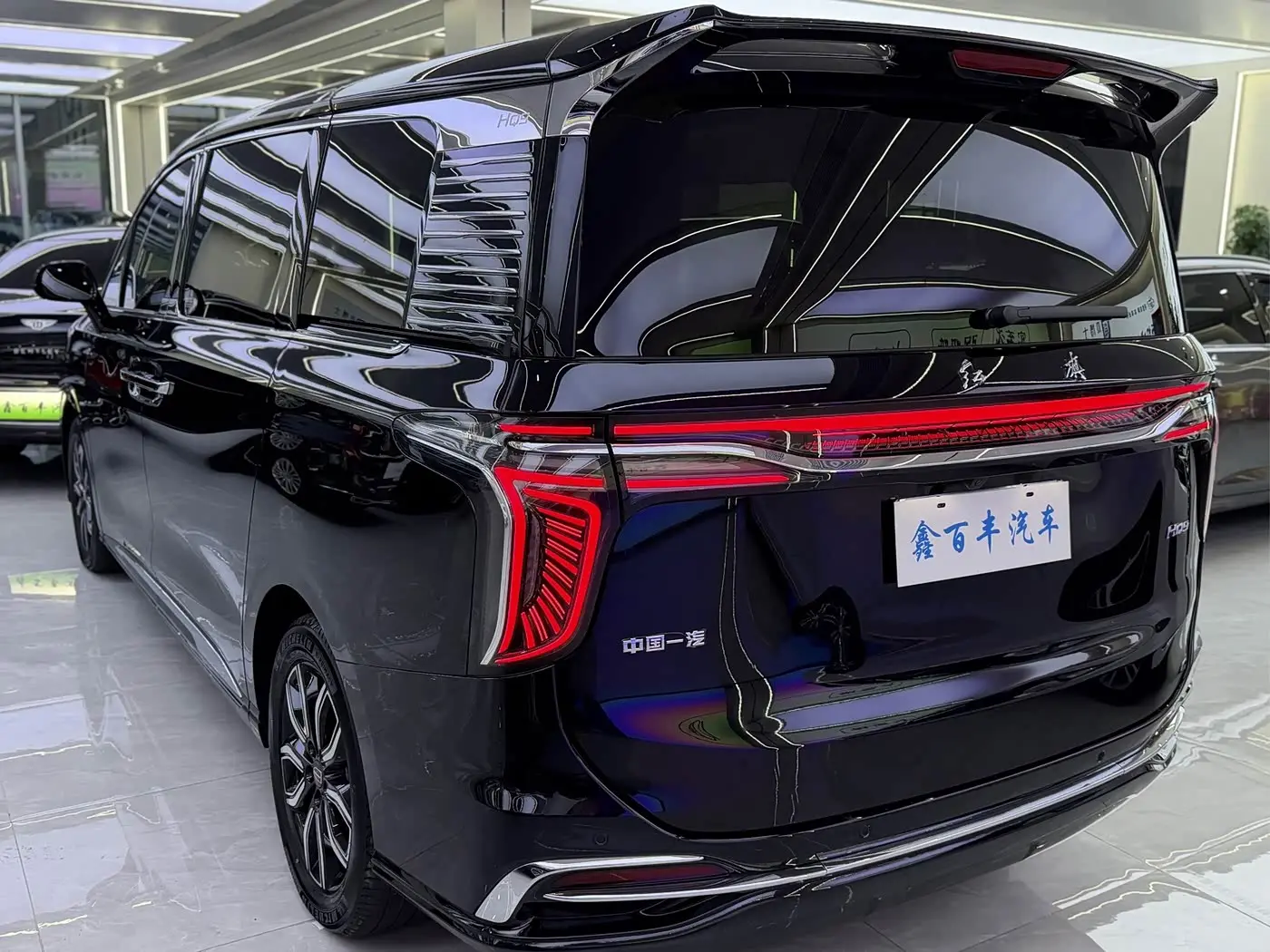 Hongqi HQ9 2023 — Photo 11/12