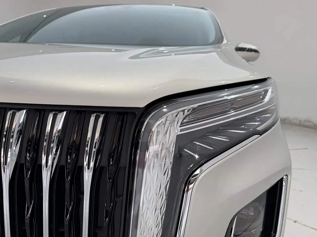 Hongqi HQ9 2023 — Şəkil 9/20