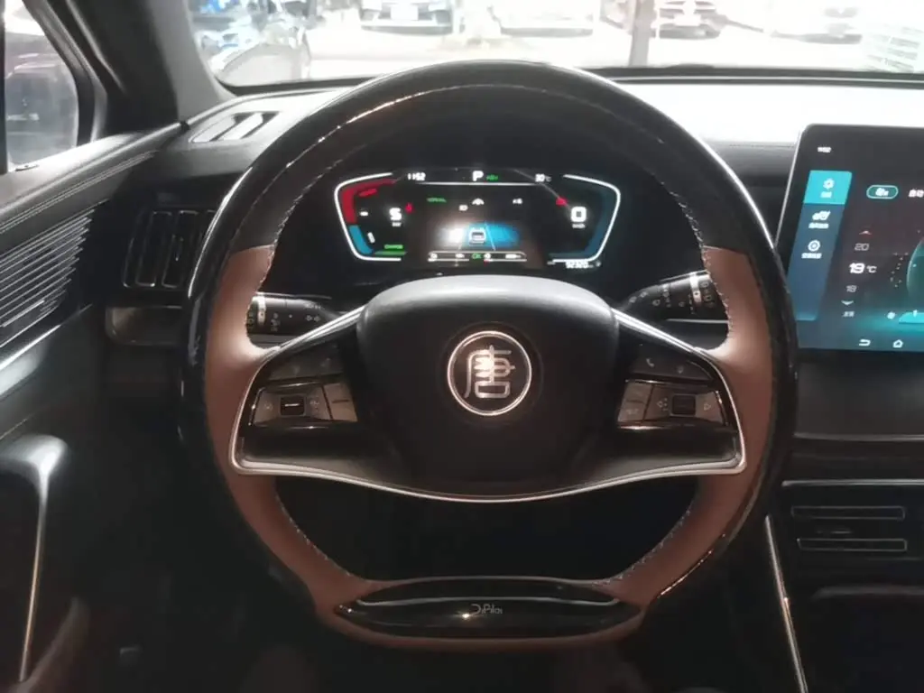 BYD Tang New Energy 2023 — Photo 10/19