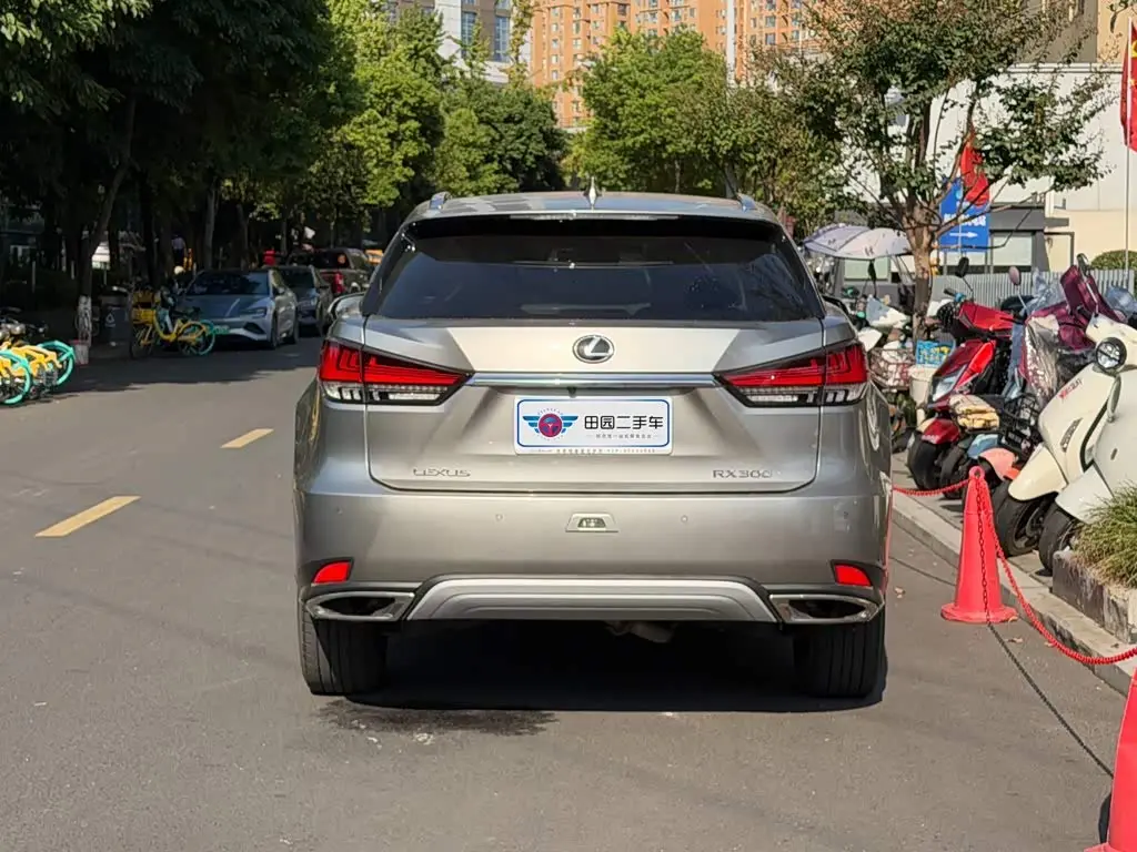 Lexus RX 2021 — Şəkil 5/14