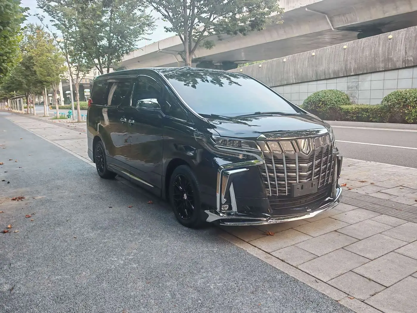 Toyota Alphard 2018 — Photo 2/8