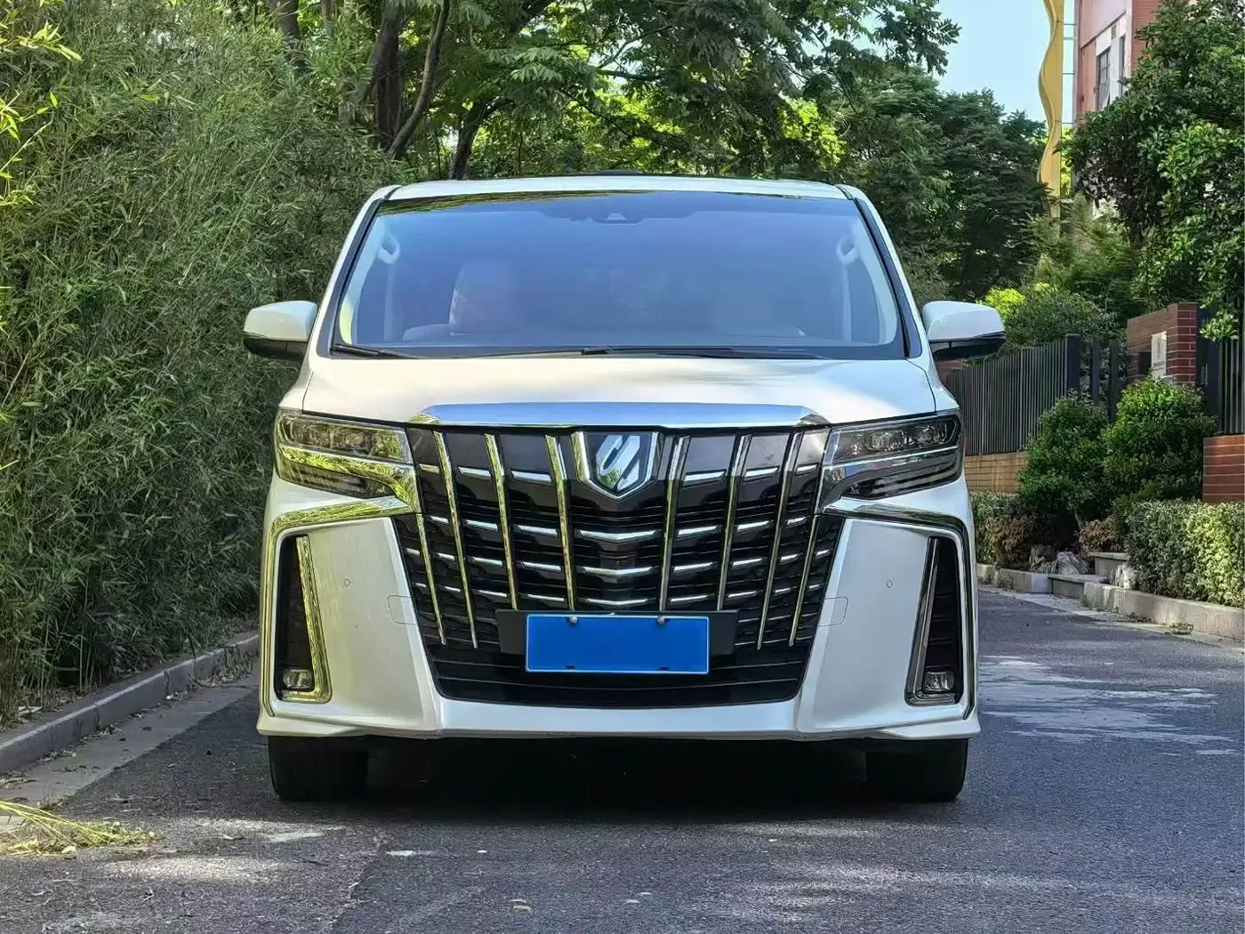 Toyota Alphard 2021 — Photo 2/9