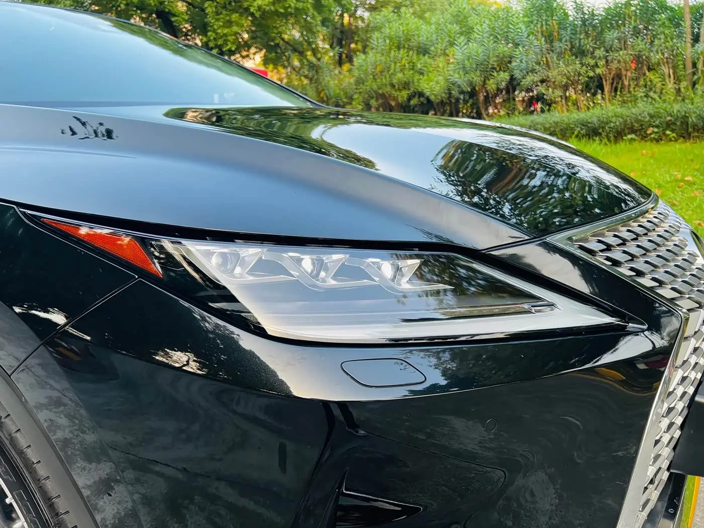 Lexus RX 2022 — Photo 8/20