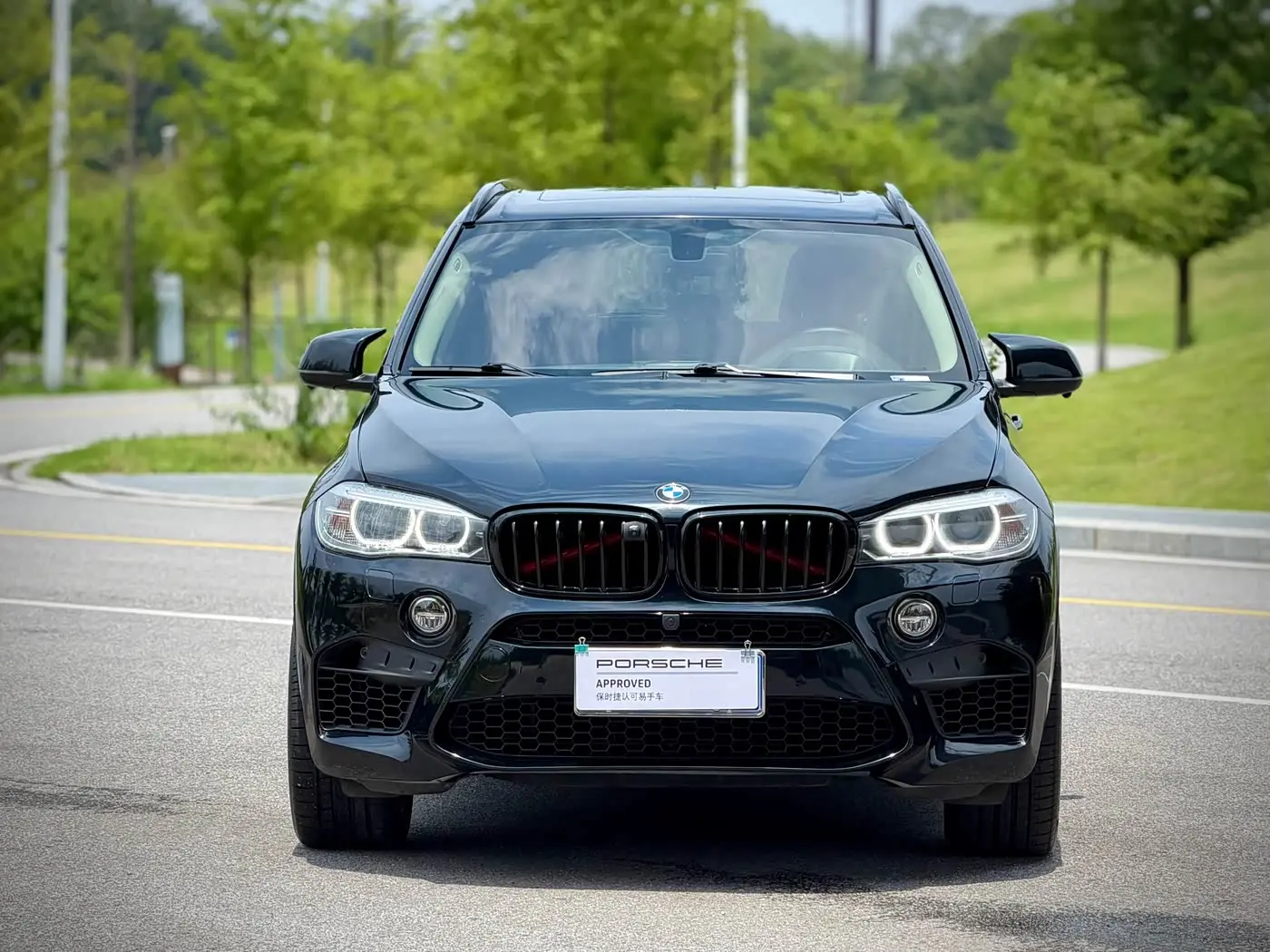 BMW X5 2014 — Фото 2/19