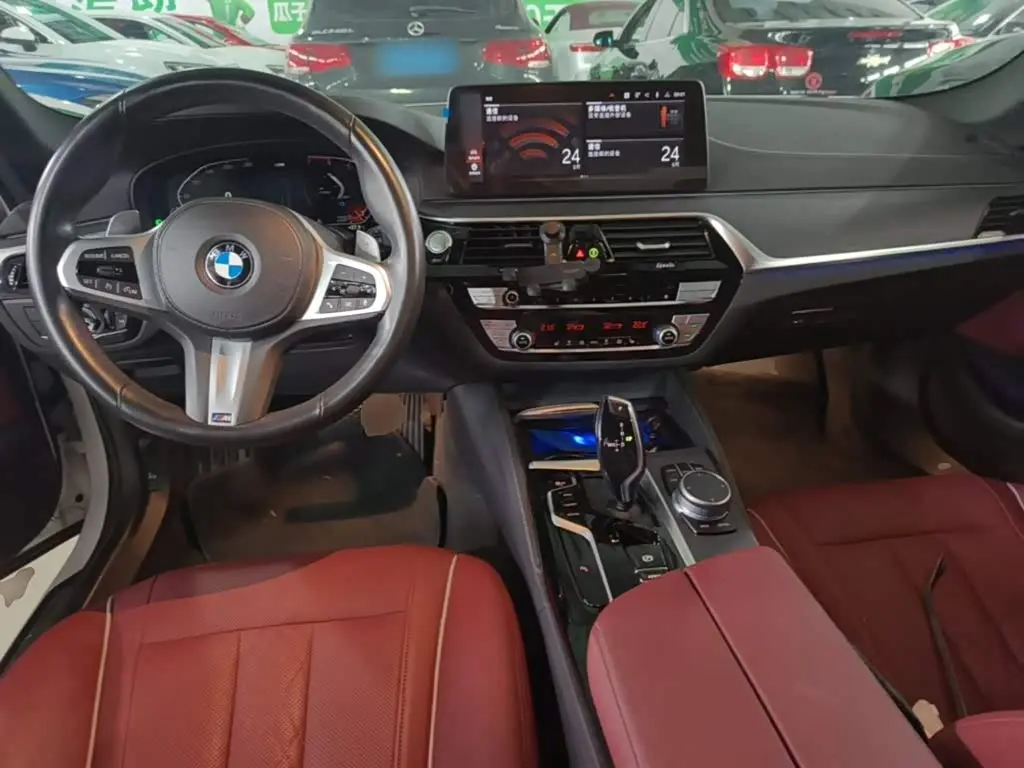 BMW 5 Series 2021 — Photo 10/20