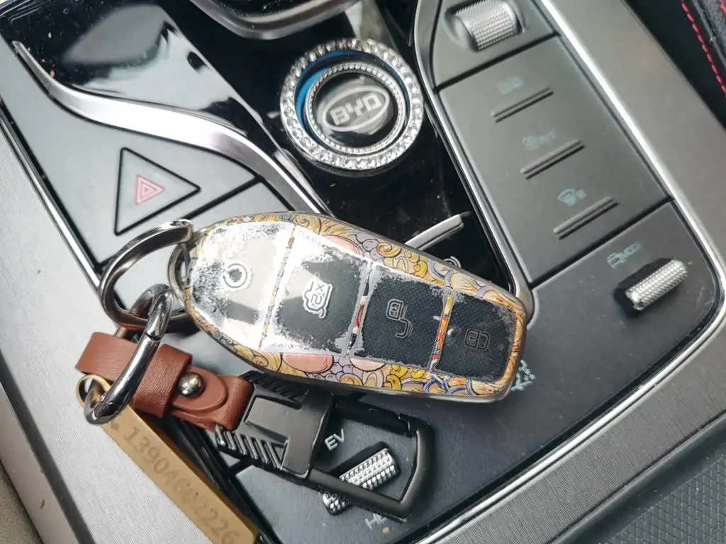 BYD Tang New Energy 2024 — Photo 9/20