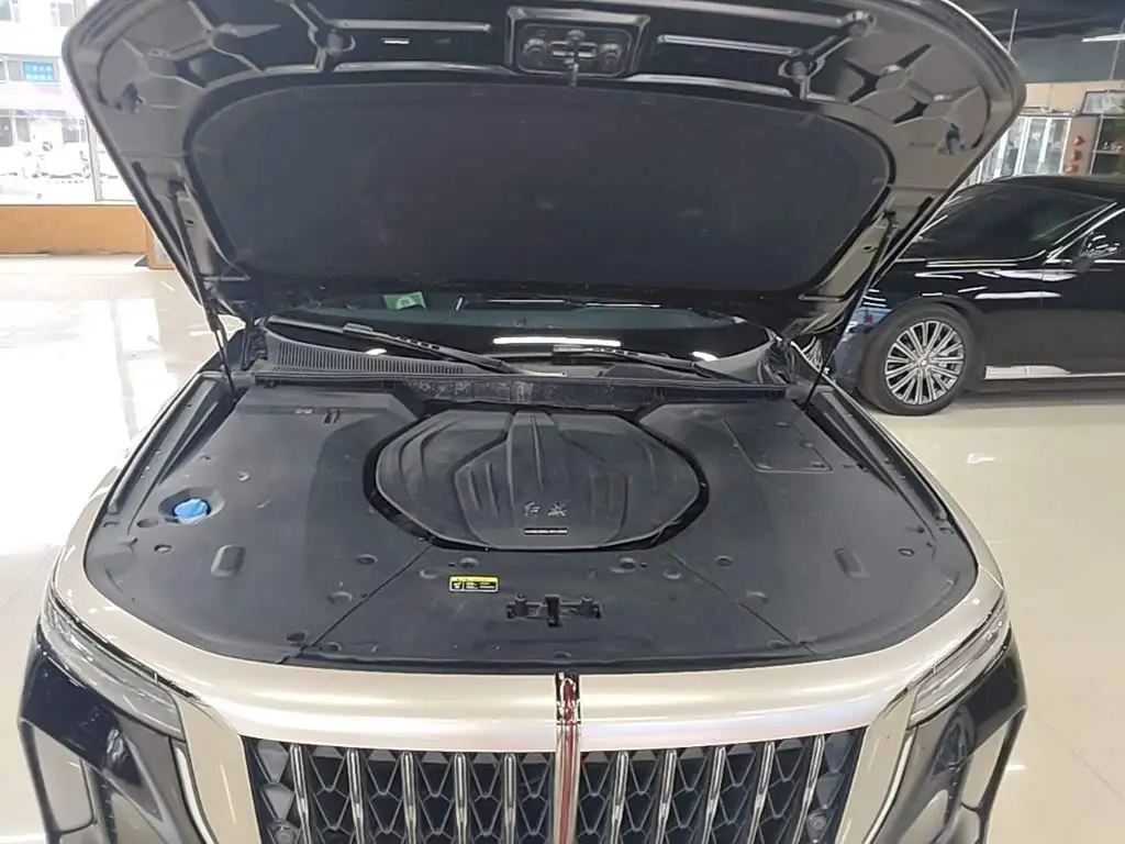 Hongqi H9 2025 — Photo 16/20