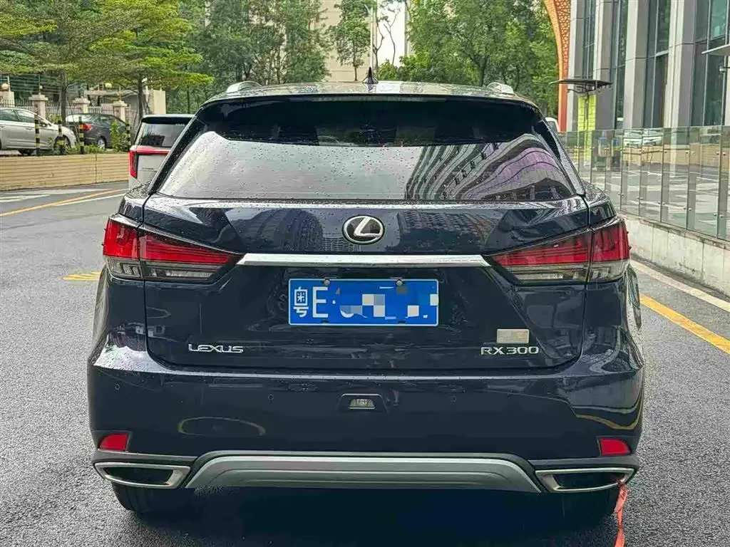 Lexus RX 2020 — Фото 5/10
