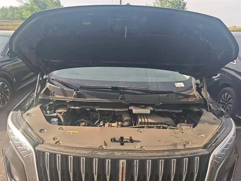 Hongqi HQ9 PHEV 2024 — Photo 20/20
