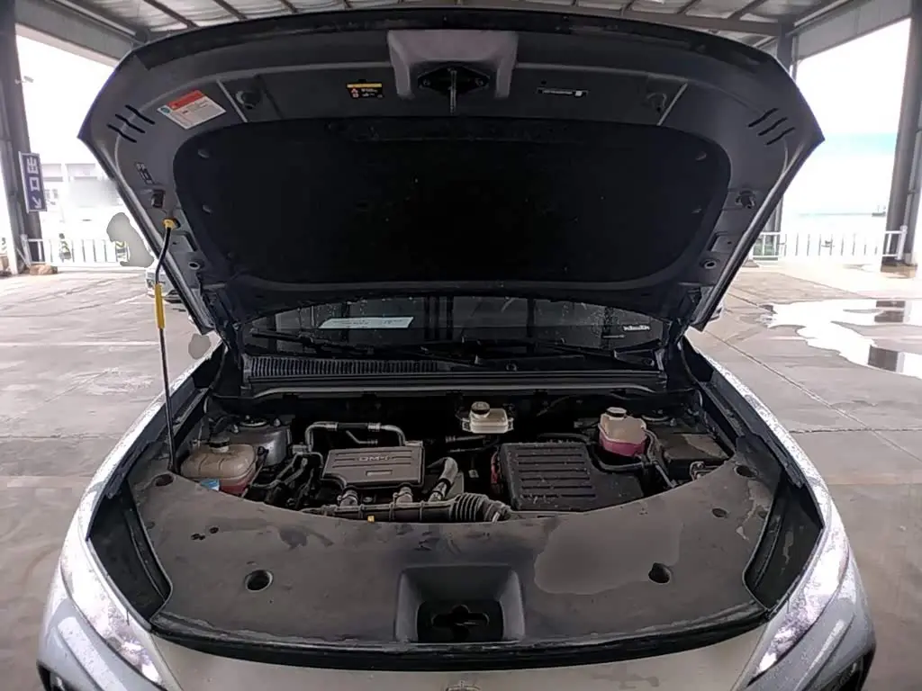BYD Song Pro New Energy 2025 — Photo 16/20