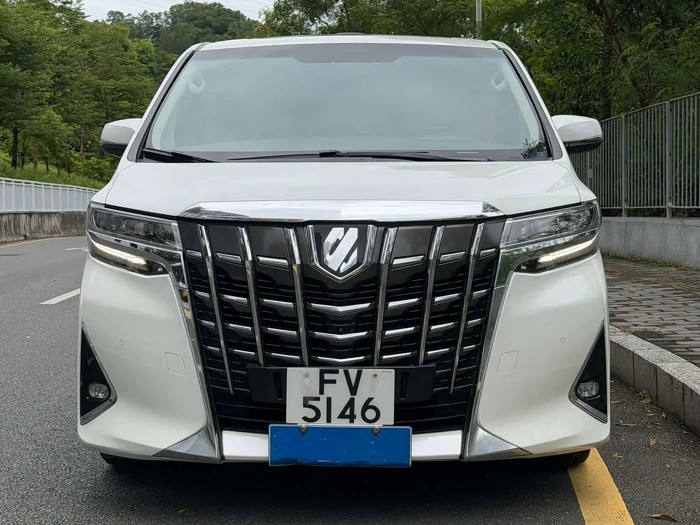 Toyota Alphard 2019 — Photo 2/14