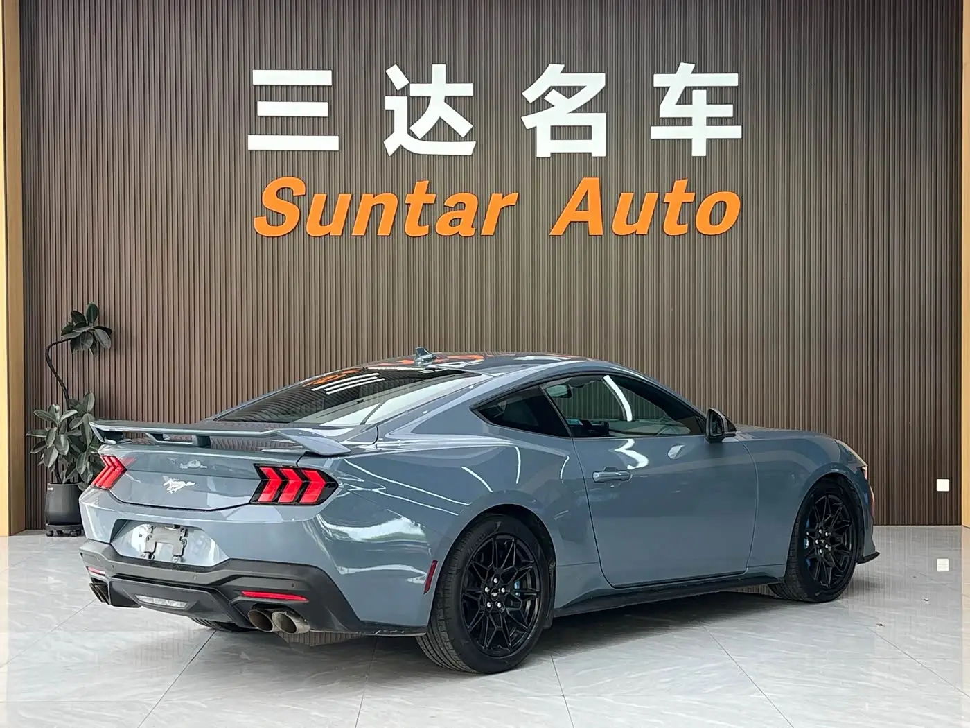Ford Mustang 2024 — Photo 6/20