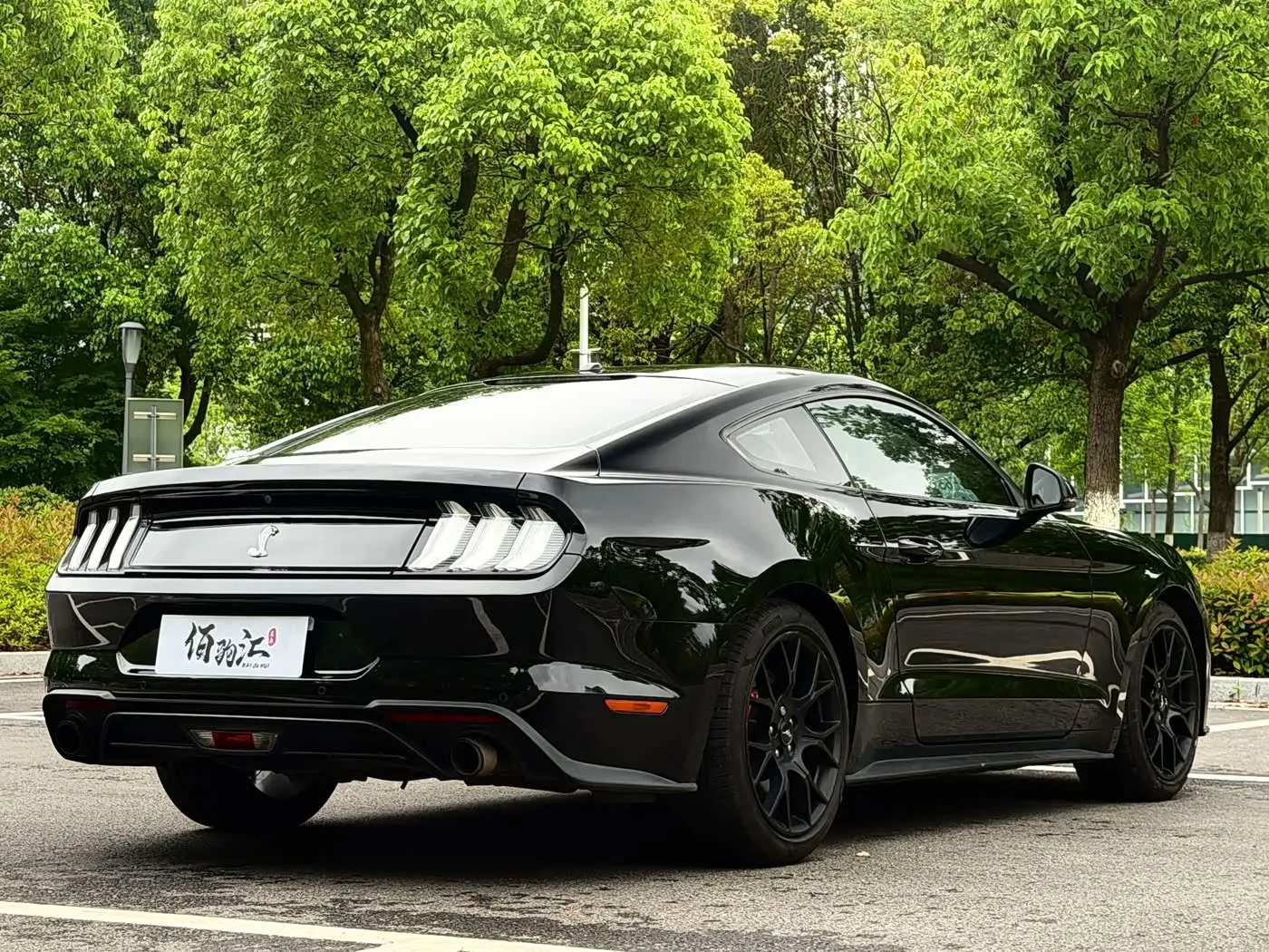 Ford Mustang 2019 — Photo 6/13
