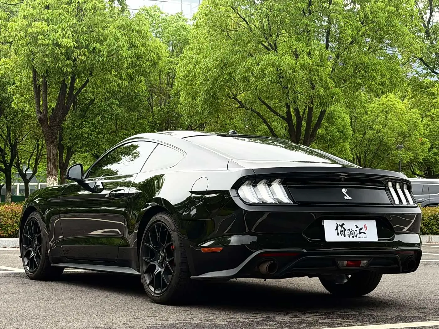 Ford Mustang 2019 — Photo 7/13