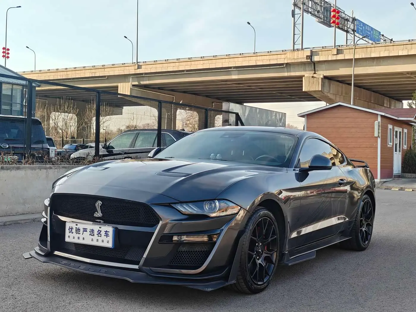 Ford Mustang 2019 — Фото 1/20